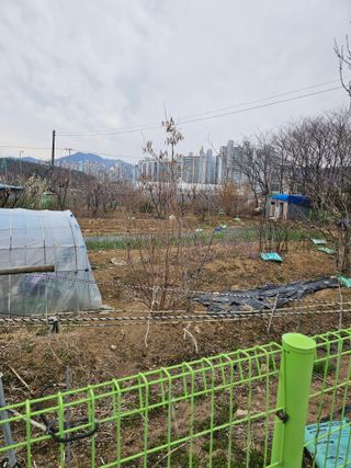 청산거사님의 자유주제 · 사진전 작성글 사진