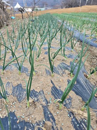 정태권님의 자유주제·자유게시판 작성글 사진