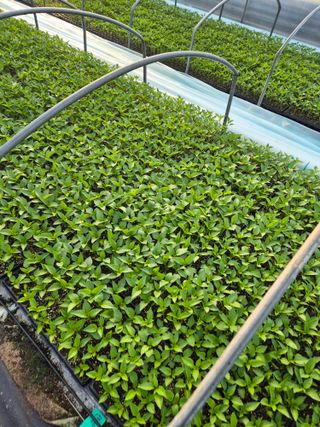 김영진(전남영광)님의 자유주제 · 자유게시판 작성글 사진