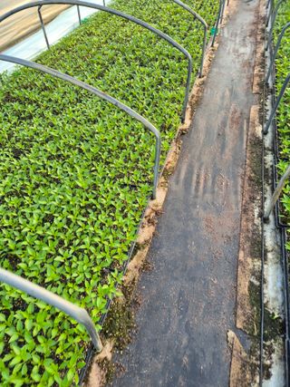 김영진(전남영광)님의 자유주제 · 자유게시판 작성글 사진