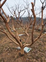 팜모닝 자유주제·사진전 게시글 이미지