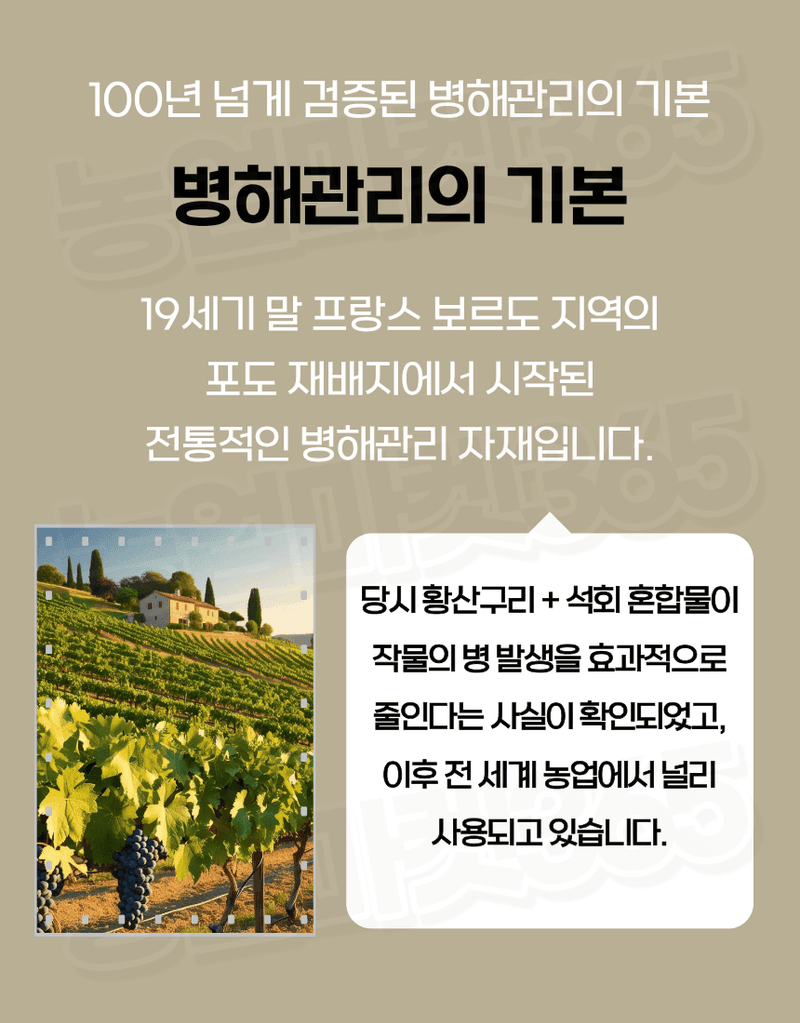 농업마켓365님의 장터 판매 상품 [대유 보르도스타 1KG 입상수화제 동제 보르도 병해관리제 친환경 유기농자재] 첨부 사진