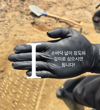 진상빈님의 작성글 사진