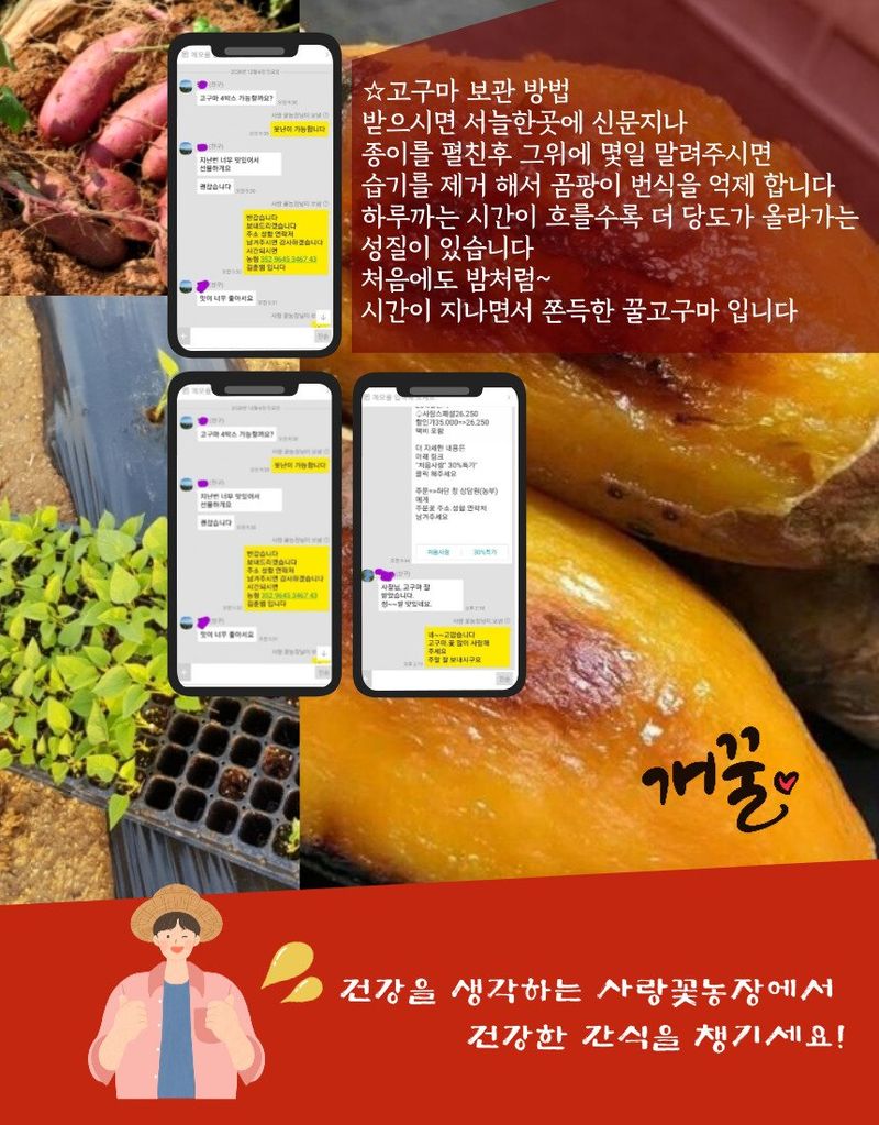 사랑꽃농장님의 장터 판매 상품 [  특) 꿀 이찌 하루까 판매10kg] 첨부 사진
