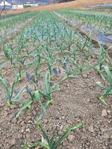 정태권님의 자유주제·자유게시판 작성글 사진