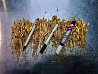 진상빈님의 작성글 사진