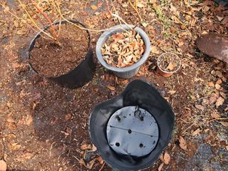 주일현님의 자유주제 · 자유게시판 작성글 사진