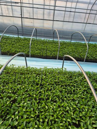 김영진(전남영광)님의 자유주제 · 자유게시판 작성글 사진