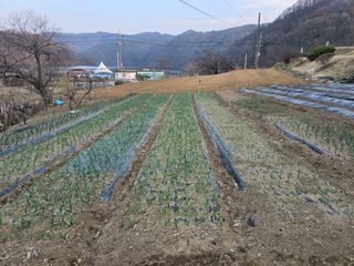 정태권님의 자유주제 · 자유게시판 작성글 사진