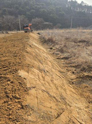 충남금산-김정섭님의 자유주제 · 자유게시판 작성글 사진