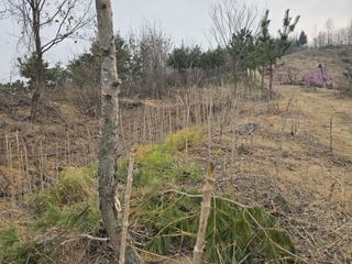 하상경님의 자유주제 · 자유게시판 작성글 사진