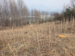 하상경님의 자유주제 · 자유게시판 작성글 사진