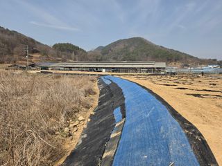 충남금산-김정섭님의 자유주제 · 자유게시판 작성글 사진