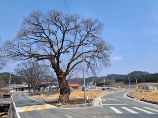 MSG0074님의 자유주제 · 자유게시판 작성글 사진