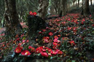 국중선님의 자유주제 · 자유게시판 작성글 사진