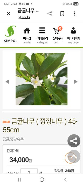 송응준님의 자유주제 · 자유게시판 작성글 사진