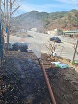 팜모닝 자유주제·자유게시판 게시글 이미지