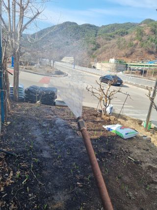 김용대님의 자유주제 · 자유게시판 작성글 사진