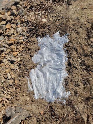 김용대님의 자유주제 · 자유게시판 작성글 사진