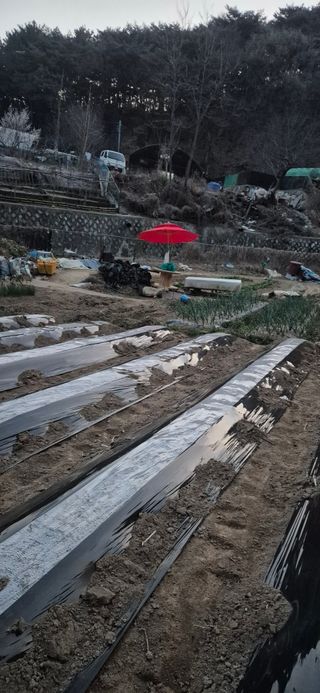 봉림동 태진농장님의 자유주제 · 자유게시판 작성글 사진