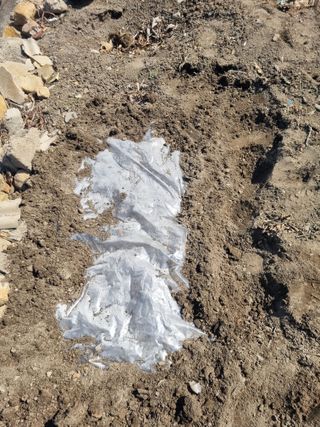 김용대님의 자유주제 · 자유게시판 작성글 사진