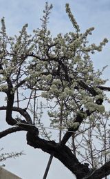 한밭농원님의 자유주제·자유게시판 작성글 사진