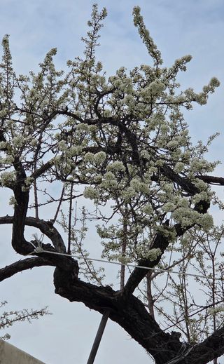 한밭농원님의 자유주제 · 자유게시판 작성글 사진