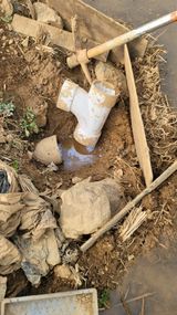 권리를위한투쟁님의 자유주제·자유게시판 작성글 사진