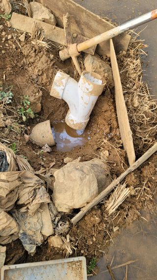 권리를위한투쟁님의 자유주제 · 자유게시판 작성글 사진