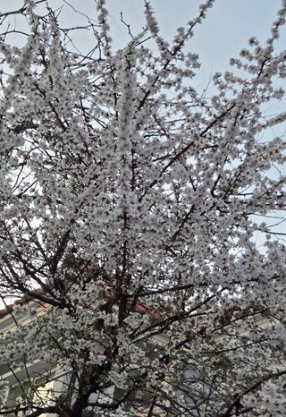 한밭농원님의 자유주제 · 자유게시판 작성글 사진