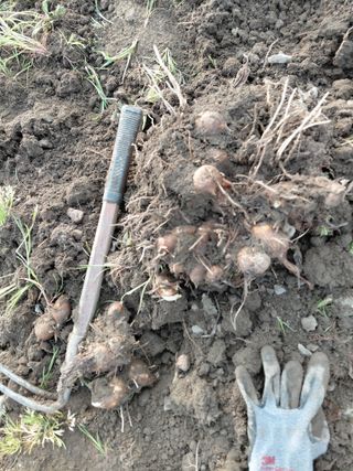 오화순님의 자유주제 · 자유게시판 작성글 사진