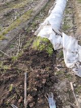 팜모닝 자유주제·자유게시판 게시글 이미지