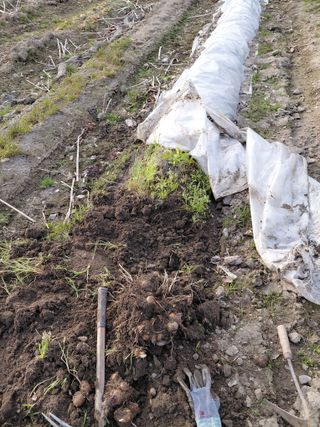 오화순님의 자유주제 · 자유게시판 작성글 사진
