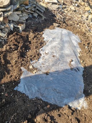 김용대님의 자유주제 · 자유게시판 작성글 사진