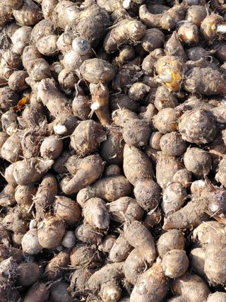 오화순님의 자유주제 · 자유게시판 작성글 사진