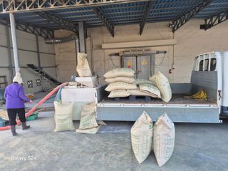 사천시향촌동 돼지띠님의 자유주제 · 자유게시판 작성글 사진