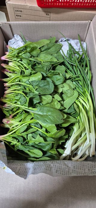 봉림동 태진농장님의 자유주제 · 자유게시판 작성글 사진