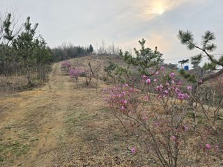 하상경님의 자유주제 · 자유게시판 작성글 사진