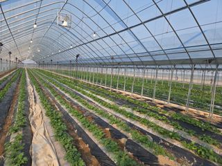 머슴님의 자유주제·자유게시판 작성글 사진