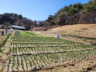 김정기 님의 자유주제 · 자유게시판 작성글 사진