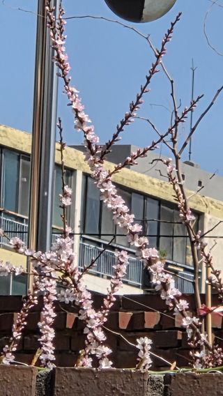 한밭농원님의 자유주제 · 자유게시판 작성글 사진