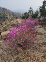 팜모닝 자유주제·자유게시판 게시글 이미지