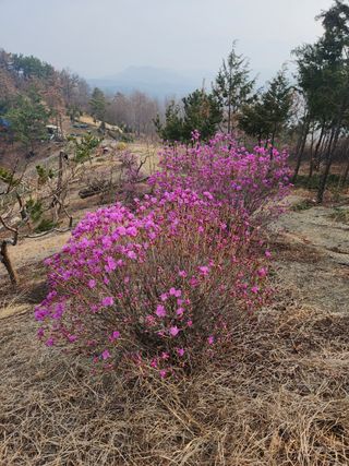 하상경님의 자유주제 · 자유게시판 작성글 사진