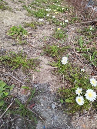 (복조리농장)김찬두님의 자유주제 · 자유게시판 작성글 사진