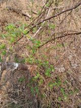 팜모닝 자유주제·자유게시판 게시글 이미지