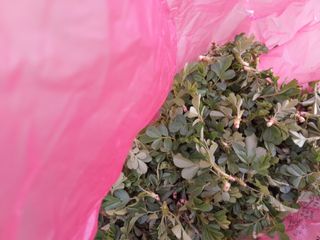 김민수산에서농사중님의 자유주제 · 자유게시판 작성글 사진