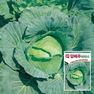 팜모닝 상점님의 작성글 사진