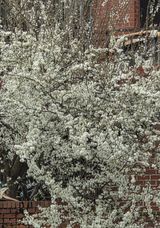 팜모닝 자유주제·자유게시판 게시글 이미지