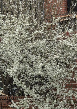 한밭농원님의 자유주제 · 자유게시판 작성글 사진