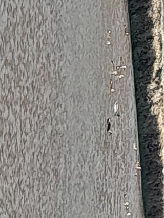 김민수산에서농사중님의 자유주제 · 자유게시판 작성글 사진